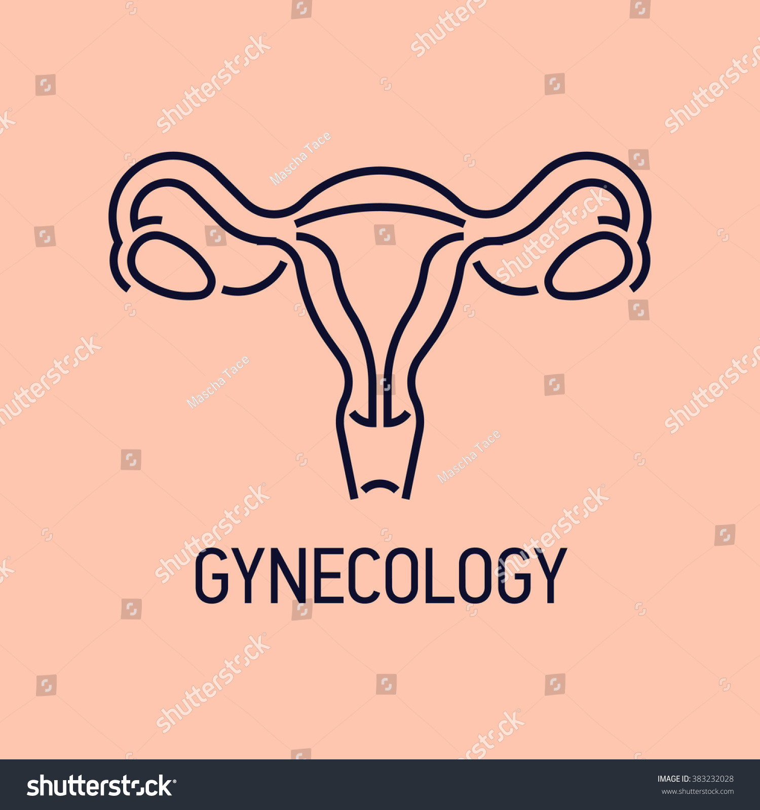 diagram Woman vagina