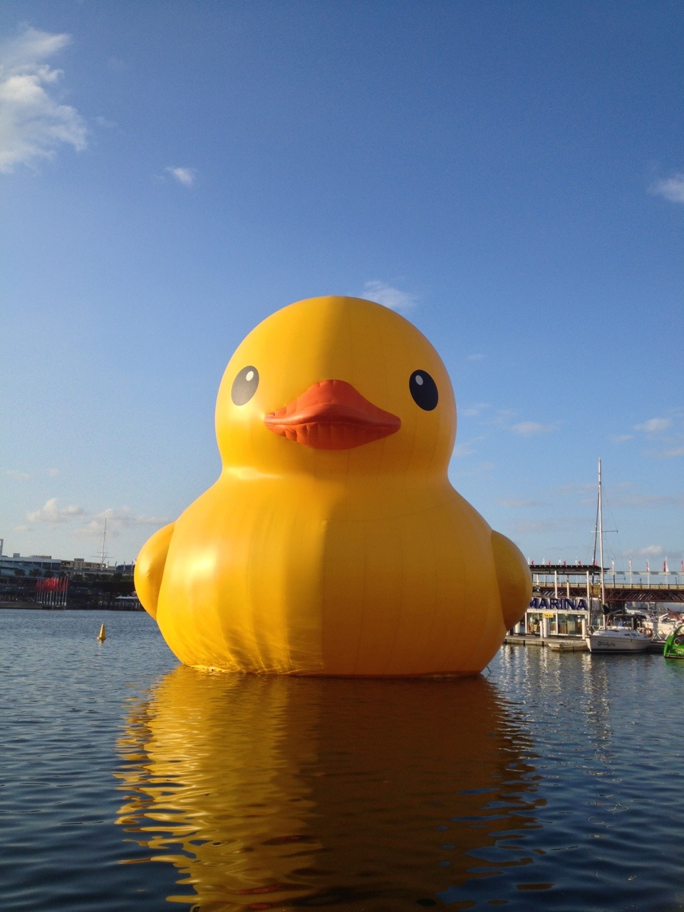 ducky Giant rubber