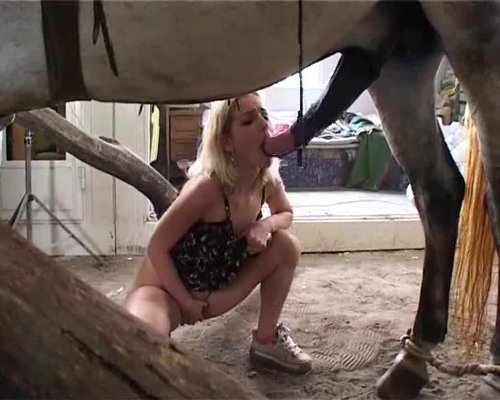 animal porn young Free