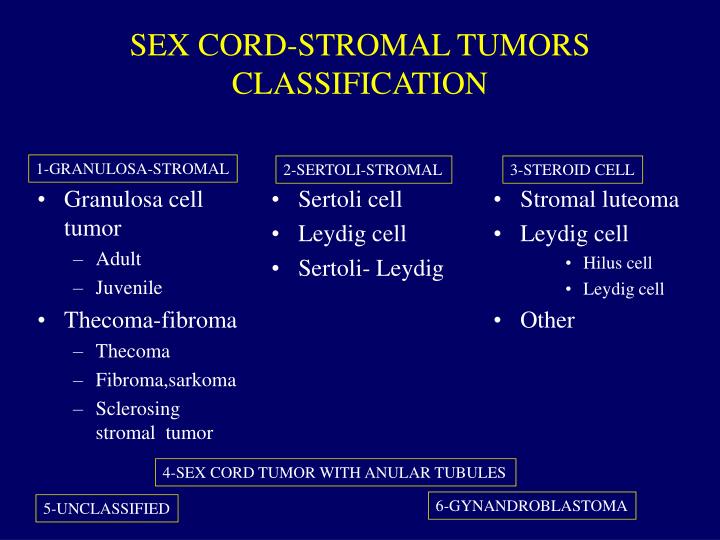 tumor stromal Sex cord