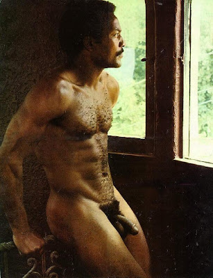 fred williamson nude Playgirl